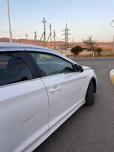 sonata 2011: Hyundai Sonata: 2019 г., 2 л, Автомат, Газ, Седан — 7