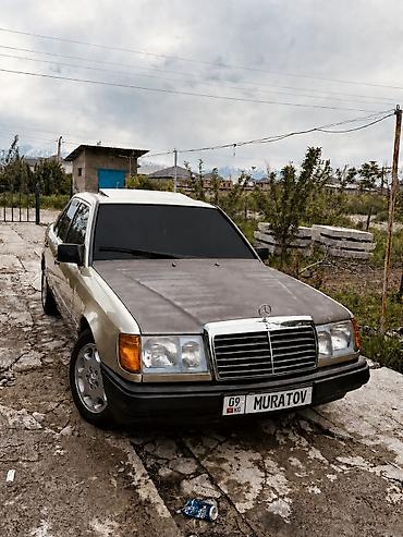 авто химии: Mercedes-Benz W124: 1985 г., 2.3 л, Механика, Бензин, Седан — 5