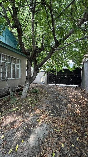 район церковь: Дом + полдома в районе Церкви, ул. Панфилова. - Площадь участка: 6 — 3