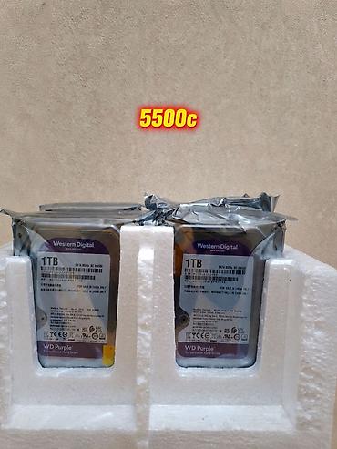 реальному: Накопитель для ПК, Новый, Western Digital (WD), HDD, 1 ТБ, 3.5" — 1