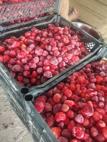 Замороженные фрукты, ягоды: Замороженные фрукты, ягоды — 2