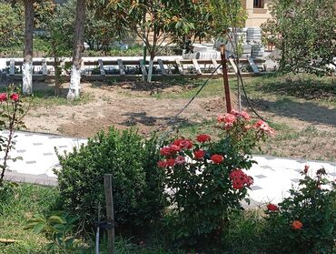 Dam işləri: Naves və Tamet işləri Çardaqlar in qurulması, heyət bağ evlərinin — 10