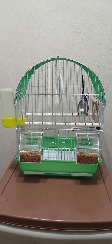 Зоотовары: Клетка для мелких и средних декоративных птиц (волнистые попугаи — 4