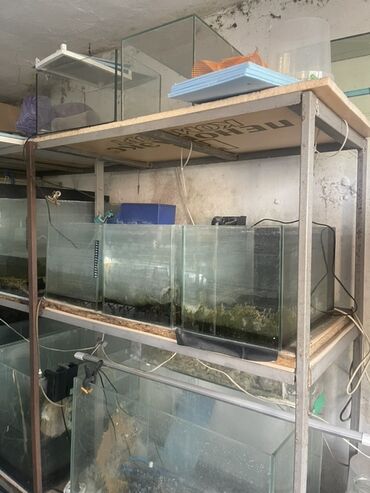 продается продуктовый магазин: Аквариумы любого обьема.в наличии