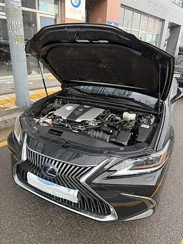 es300: Lexus ES: 2021 г. — 3
