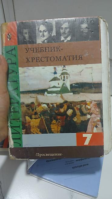 Русский язык и литература: Русский язык, 8 класс — 7