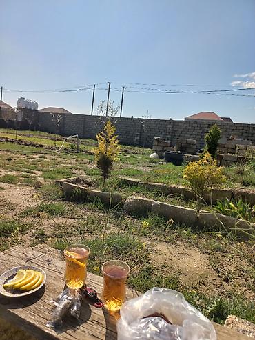 10 sot, Tikinti, Mülkiyyətçi, Bələdiyyə