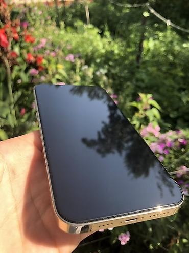 фото 3 на 4: IPhone 13 Pro Max, Б/у, 128 ГБ, Золотой, Зарядное устройство, Защитное стекло, Кабель, 85 % — 2