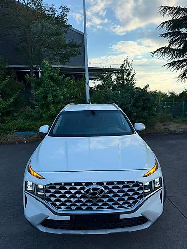 накладка на фит: Hyundai Santa Fe: 2023 г., 2 л, Вариатор, Бензин, Кроссовер — 3