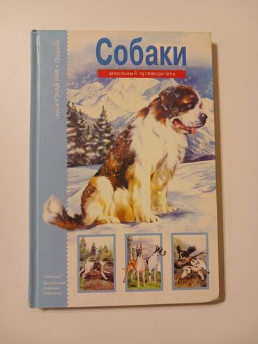 Bədii ədəbiyyat: Все книжки от 3 до 10 азн. Скетчинг! Long Shadows-David Baldacci Алиса — 7