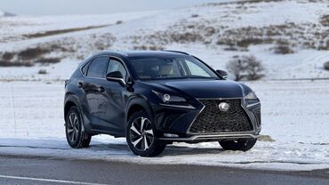 Lexus: Lexus NX: 2018 г., 2 л, Автомат, Бензин