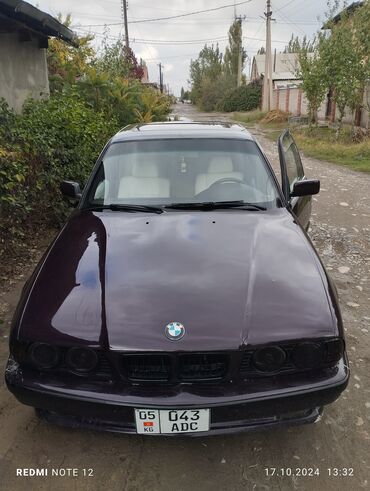 BMW: BMW 525: 1989 г., 2.5 л, Механика, Бензин, Седан