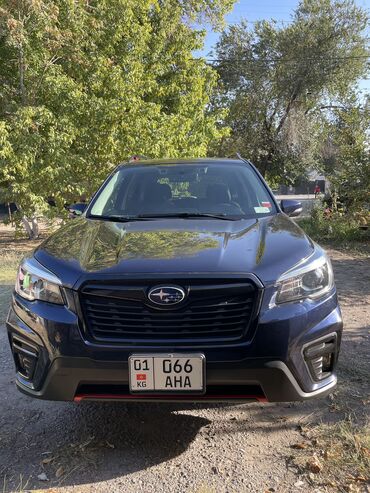я ищу машину: Subaru Forester: 2019 г., 2.5 л, Вариатор, Бензин, Кроссовер