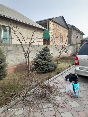 Спил деревьев, заготовка дров: Обрезка деревьев!!! Сезонная обрезка плодовых деревьев!!! Зима — 13
