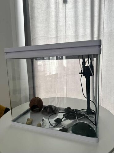 Akvariumlar: Dördbucaq akvarium, Boş, 40 l
