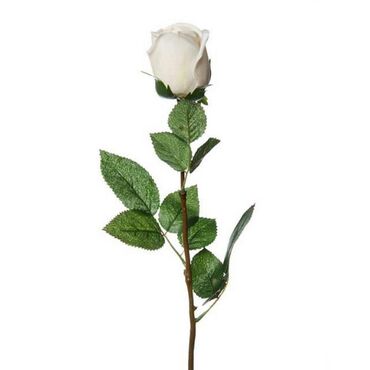 цветок для дома: Цветок декоративный (роза белая) высота стебля 66 см
