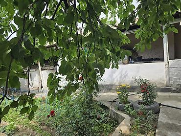 Навесы: Навес, Другая форма, Дерево, Другой материал — 9