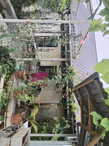 Həyət evləri və villaların satışı: 1 otaqlı, 36 kv. m, Yeni təmirli — 30