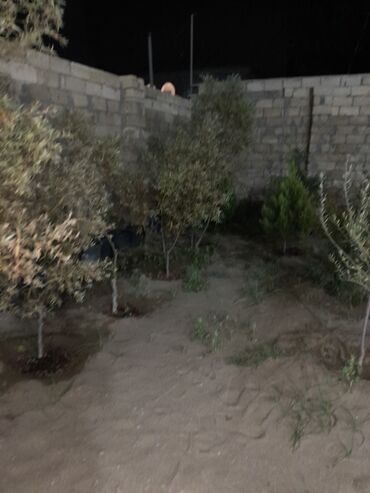 Həyət evləri və villaların satışı: 3 otaqlı, 200 kv. m, Kredit var, Orta təmir — 8