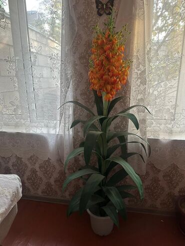 Письменные столы: Письменный стол — 15