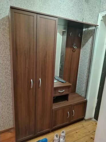 Dolablar: İşlənmiş, Açılan, 2 qapılı Dolab-asılqan, Almaniya