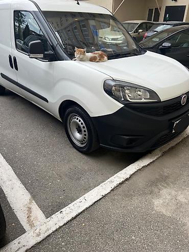 Fiat: Fiat Doblo: 1.4 l | 2019 il 244638 km Mikroavtobus — 7