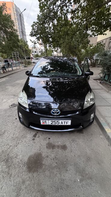 Toyota: Toyota Prius: 2010 г., 1.8 л, Вариатор, Гибрид, Хэтчбэк — 11