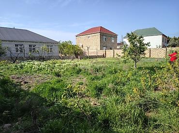 binə mehriban qonşular: 5 sot, Tikinti, Mülkiyyətçi, Kupça (Çıxarış) — 1