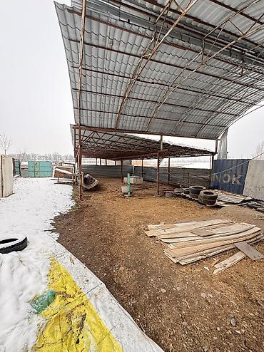 Продажа коттеджей и домов: Село Каирма продается участок 10 соток с домом контейнер 20 тонник — 17