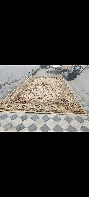 şaxta gülü bitkisi: Xalça Dekorativ, Kredit yoxdur — 1