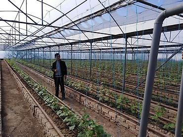 Сварка: Сварка Высотные работы — 34