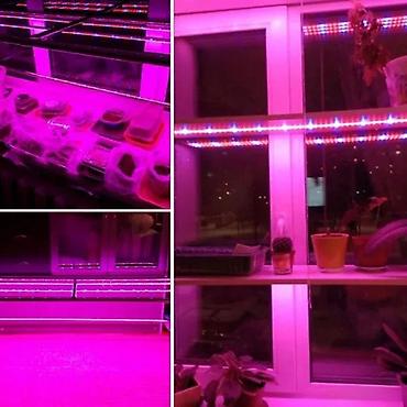 retro luster: GROW LED TRAKA ZA RAST BILJAKA 3:1 5050 DIODE 12V | *Brojni — 3