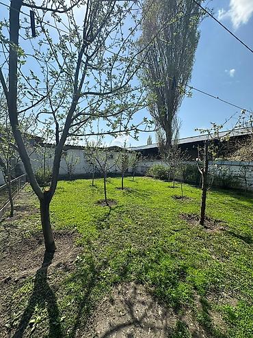 Продажа коттеджей и домов: 📍В Сокулуке в районе птицефабрики от трассы 500 м продается дом на — 5