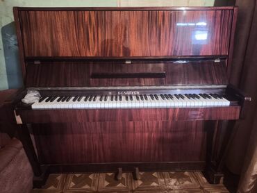 Pianolar: Piano, Belarus, Akustik, İşlənmiş