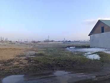 archa group: Для сельского хозяйства, Красная книга, Тех паспорт — 4