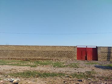 lökbatanda torpaq: 138 sot, Kənd təsərrüfatı, Mülkiyyətçi, Kupça (Çıxarış) — 1