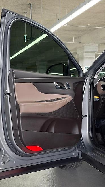 Hyundai: Hyundai Santa Fe: 2019 г., 2 л, Бензин — 6