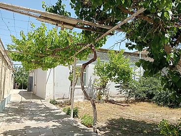 Torpaq sahələrinin satışı: 9 sot, Kupça (Çıxarış) — 6