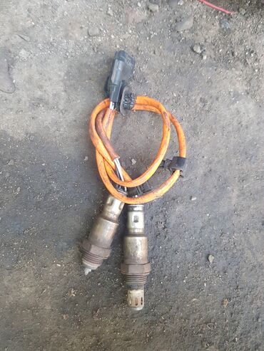 Коллекторы: Коллектор — 8