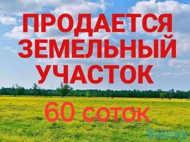 арендага квартира ош: 60 соток, Айыл чарба үчүн