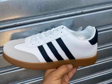 Patike: Adidas, 41 — 3