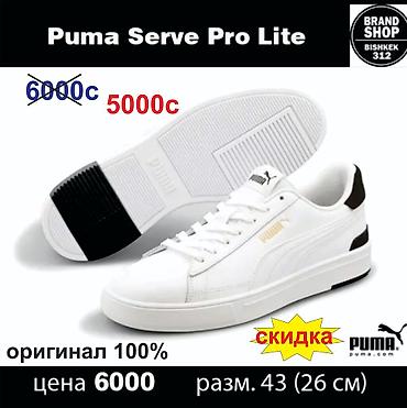 falcon pro: Мужские кроссовки, 43, Puma, Новый, цвет - Белый, Самовывоз, Платная доставка — 1