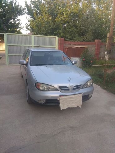 ниссан потфайнер: Nissan Primera: 2000 г., 1.8 л, Механика, Бензин, Бус