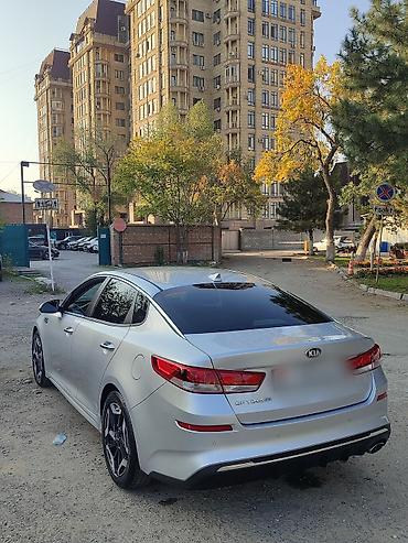 жабра бампер фит: Kia Optima: 2019 г., 2.4 л, Автомат, Бензин, Седан — 4