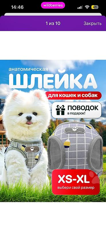 шлейка для кошки: Срочно продам шлейку новая!!!!! Покупала оказалась маленькой. Размер — 2