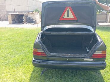 Mercedes-Benz: Mercedes-Benz 250: 2.5 l | 1991 il Van body type — 4