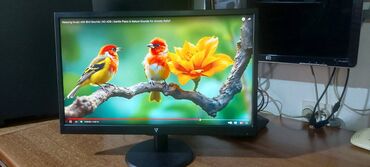 Monitori: V7 L215DS-2E - LED monitor - Full HD (1080p) - 21.5"-perfektan — 9