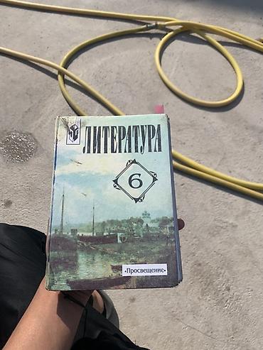 Учебники: Учебники для школы (на фото): - Литература, 6 класс. Издательство — 2