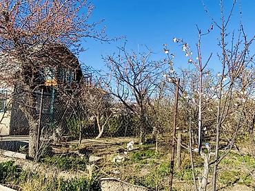 Продажа дач: Продаётся дача в городе Балыкчи, садовое общество «Абрикос» — 7