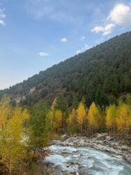 сниму дом недорого: 20000 соток Для сельского хозяйства